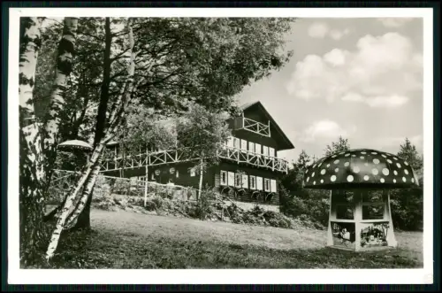 AK - Klingenberg am Main Waldcafé Zuckerhäuschen Fliegenpilz auffälliger Pilzbau