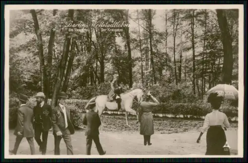 AK - Kronprinz Wilhelm Preußen auf Pferd - im Tiergarten in Berlin 1908 gelaufen