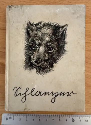 Schlamper - Eine Hundegeschichte - Mit Kohlezeichnungen von Hans Tombrock - 1930