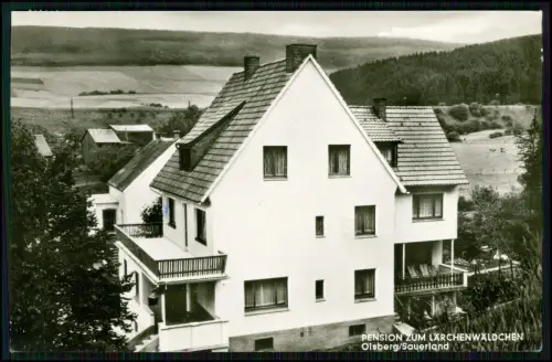 Echt Foto AK - Olsberg im Sauerland - Blick auf die Pension zum Lärchenwäldchen