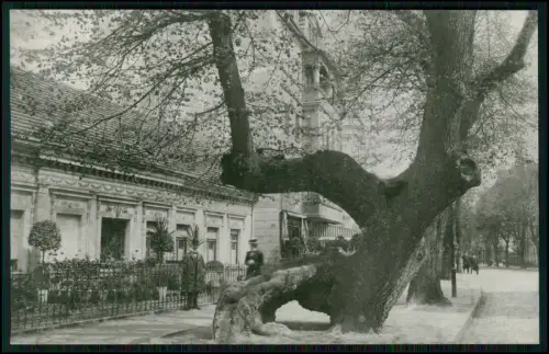 6x Foto AK - Berlin Tegel Reinickendorf - diverse verschiedene Ansichten Motive