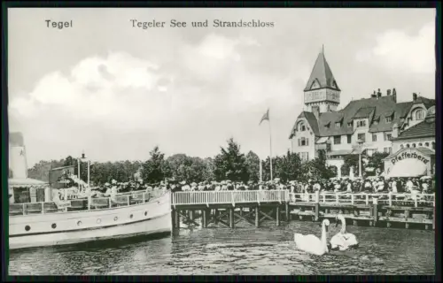 6x Foto AK - Berlin Tegel Reinickendorf - diverse verschiedene Ansichten Motive