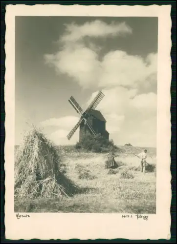 Foto AK  mit traditioneller Windmühle offene Landschaft - Menschen bei der Ernte