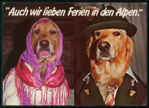 AK - 2 Hunden in Kleidung - und humorvollem Textbezug - auf Ferien in den Alpen