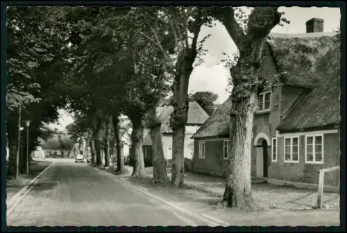 8x AK - Nieblum auf Föhr - Friesenhäuser Reetdach Dorfstraßen historische Tracht