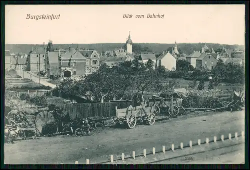 AK Burg-Steinfurt Blick vom Bahnhof auf Wohnhäusern, Gärten, Fuhrwerke - um 1910