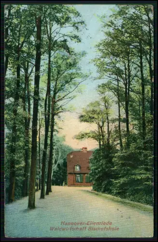 AK - Eilenriede Hannover - Blick Waldwirtschaft Bischofshole - Waldweg 1908 gel.