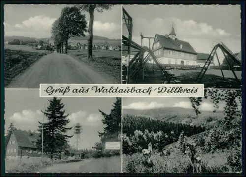 AK Waldaubach Driedorf - Lahn Dill Kreis in Hessen - Canada Dry Werbeschild u.a.