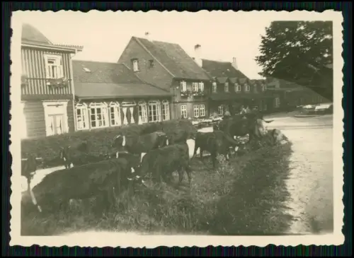 23x Original Foto einer Reise in das Riesengebirge - 1938 Schlesien Sudetenland