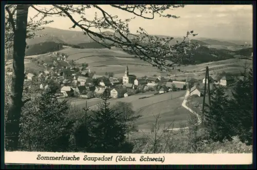 Foto AK - Saupsdorf Sebnitz - Sächsische Schweiz - Blick auf das Dorf mit Kirche