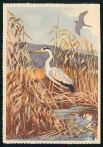 7x AK Künstler Postkarte Reklame - Eduscho Kaffee Bremen - nicht beschrieben