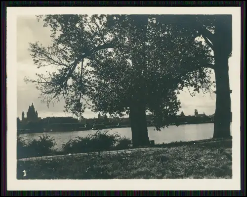 10x Foto Rüdesheim Rhein