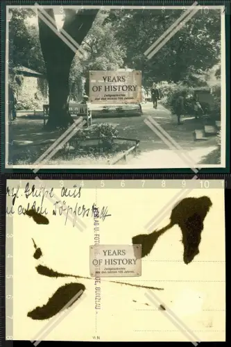 Orig. Foto Bunzlau 1933 Boleslawiec Bunzel Niederschlesien Polen Parkansicht 