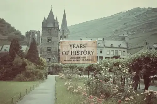 Repro Farbfoto 15x10cm Burg Schloss Weinberge