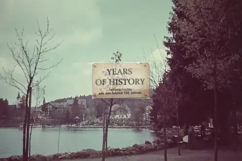 Repro Farbfoto 15x10cm See Park Wo ?