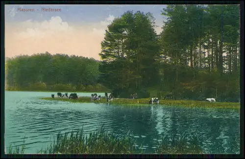 AK - Jezioro Nidzkie Niedersee Masuren - Masurische Seenplatte - Feldpost Karte