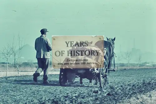 Repro Farb Foto no Original Bauer mit Panjewagen Don Kuban Terek Kaukasus Ukrain