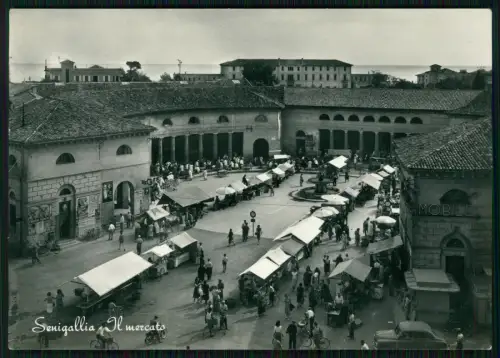 Foto AK SENIGALLIA ANCONA IL MERCATO, BANCARELLE NELLA PIAZZA VIAGGIATA
