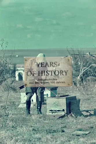 Repro Farb Foto no Original Soldat mit Gasmaske Bienen Imker Don Kuban Terek Kau