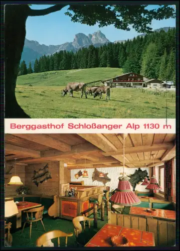 AK Pfronten Obermeilingen Schloßanger Alp - Berggasthof Almwiese weidenden Kühe
