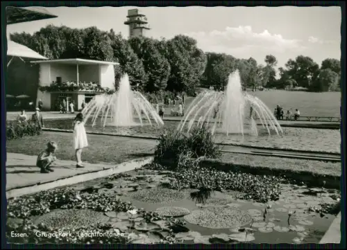 Foto AK  Essen Grugapark Leuchtfontänen attraktive Aufnahme Wasserfontänenanlage