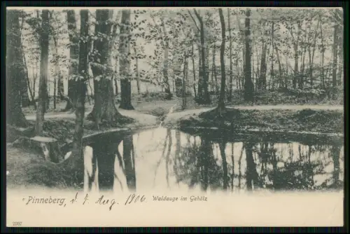 AK - Pinneberg Waldauge Gehölz Teich - Bahnpost Hamburg 1906 gelaufen nach Büsum
