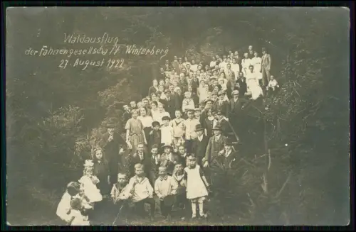 3x Echt Foto AK Winterberg Sauerland – Waldausflug Fahnengesellschaft - 1922-35