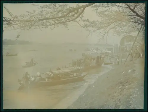Foto - Tokio Mukojima - am Sumida Fluss 1908 - Uferlandschaft Kirschblütenzeit