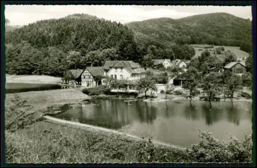 Foto AK - Wieda Walkenried Bad Sachsa - Blick auf Hotel Forellengrund mit Teich