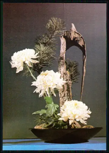 12 Postkarten Blumensteckkunstwerke diverse Motive gestaltete Karten für Sammler