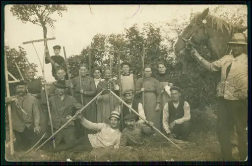3x Foto AK - Gruppe Feldarbeiter Bauern Werkzeuge Heugabeln Rechen Pferd - 1915