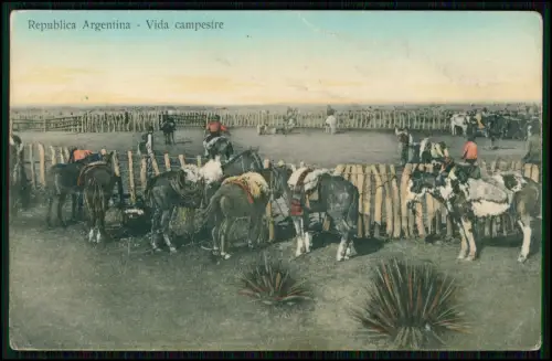 AK Argentinien Vida Campestre Gauchos - gesattelte Pferde Pferdekoppel 1911 gel.