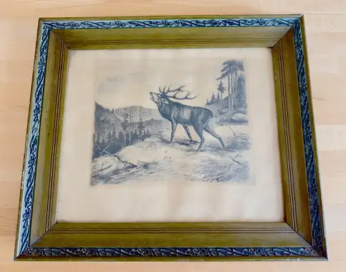 Dresden Robert Langbein Radierung 1924 mit röhrendem Hirsch im alten Holzrahmen