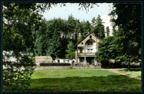 AK Echt Foto - Marktschorgast Ofr.- Pension Grundmühle Gasthaus mit Gartenanlage