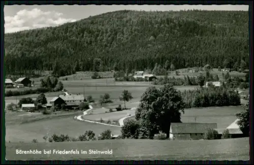 AK Echt Foto - Bärenhöhe bei Friedenfels Steinwald - Ort Häuser mit Bauernhöfe