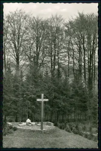 AK Echt Foto - Ehrenhain in Schieder Lippe - großes Holzkreuz Gedenkstätte Grab