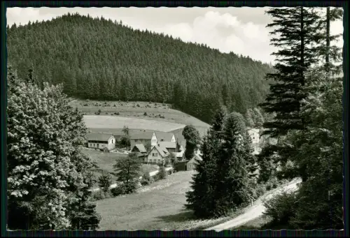 Foto AK - Thiemitz Schwarzenbach - Gaststätte Pension Zum Forsthaus - Wohnhäuser