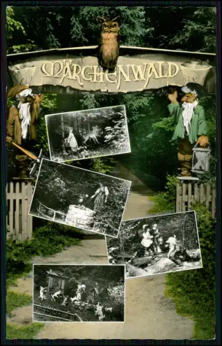 Farb Foto AK - Märchenwald Rottenhambach - bei Itting (Lauf an der Pegnitz)