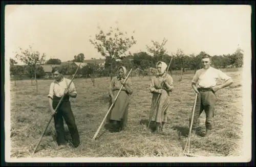 Echt Foto AK - Bauern Feldarbeit Heuernte Rechen Acker Landwirtschaft - um 1930
