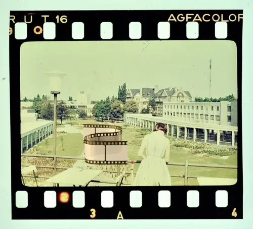 Agfacolor Dia - Berlin Westend Blick Mittelaue Städtischen Krankenhauses Westend