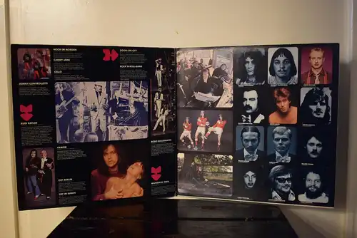 Udo Lindenberg Und Das Panik Orchester – Panik-Udo