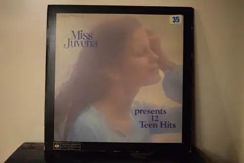 Miss Juvena Presents 12 Teen Hits