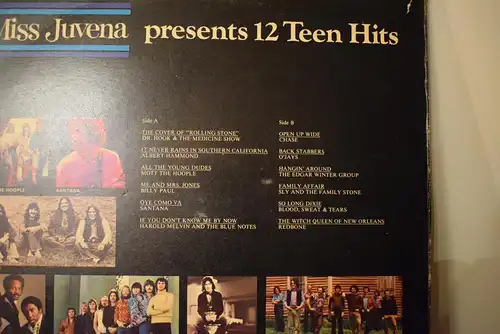 Miss Juvena Presents 12 Teen Hits