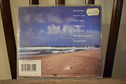 Voodoo Child – The End Of Everything