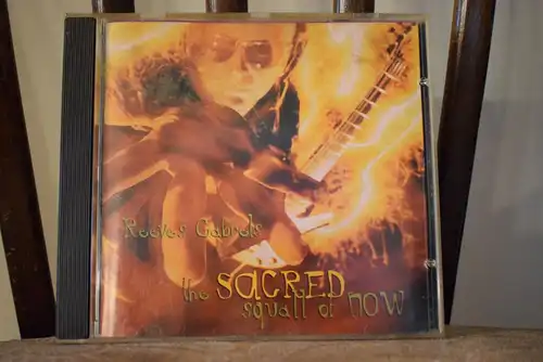 Reeves Gabrels – The Sacred Squall Of Now 