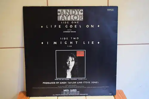 Andy Taylor – Life Goes On