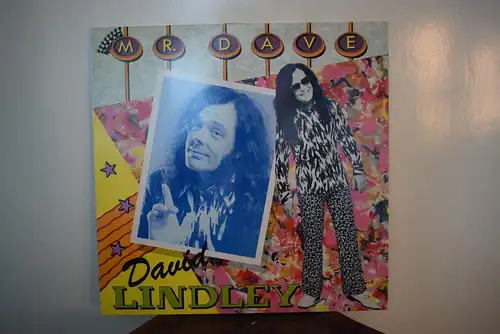 David Lindley – Mr. Dave