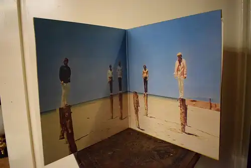 The Beach Boys – 20 Grössten Hits