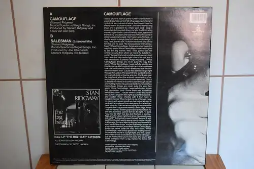 Stan Ridgway – Camouflage