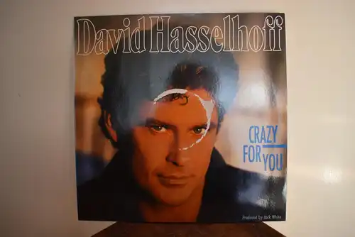 David Hasselhoff – Crazy For You
